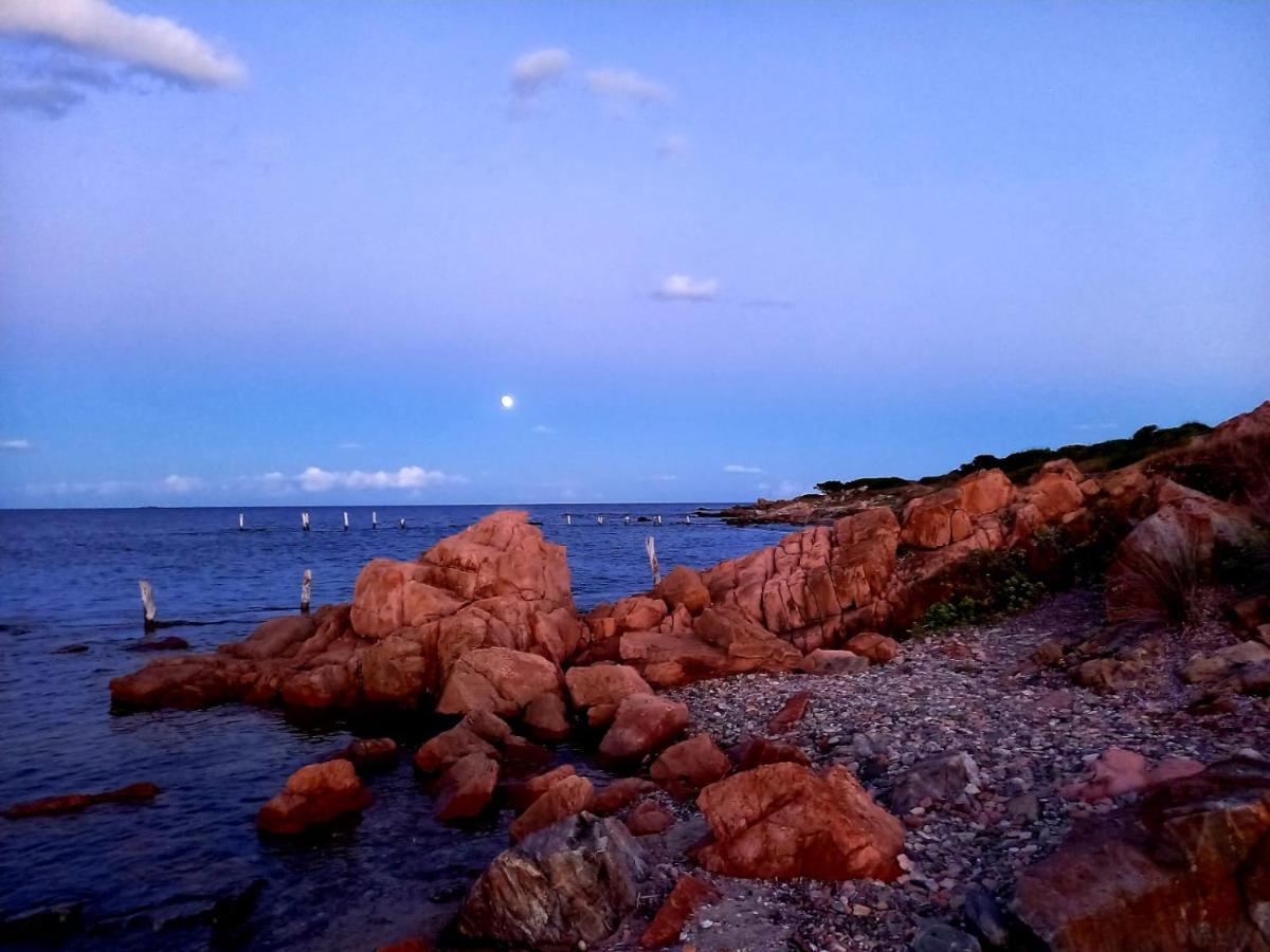 Villa vista pineta - 90 mt dalla spiaggia Budoni Esterno foto
