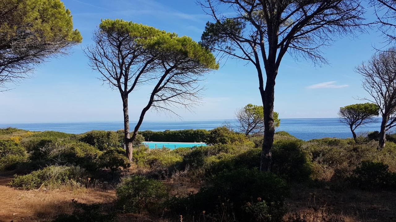 Villa vista pineta - 90 mt dalla spiaggia Budoni Esterno foto