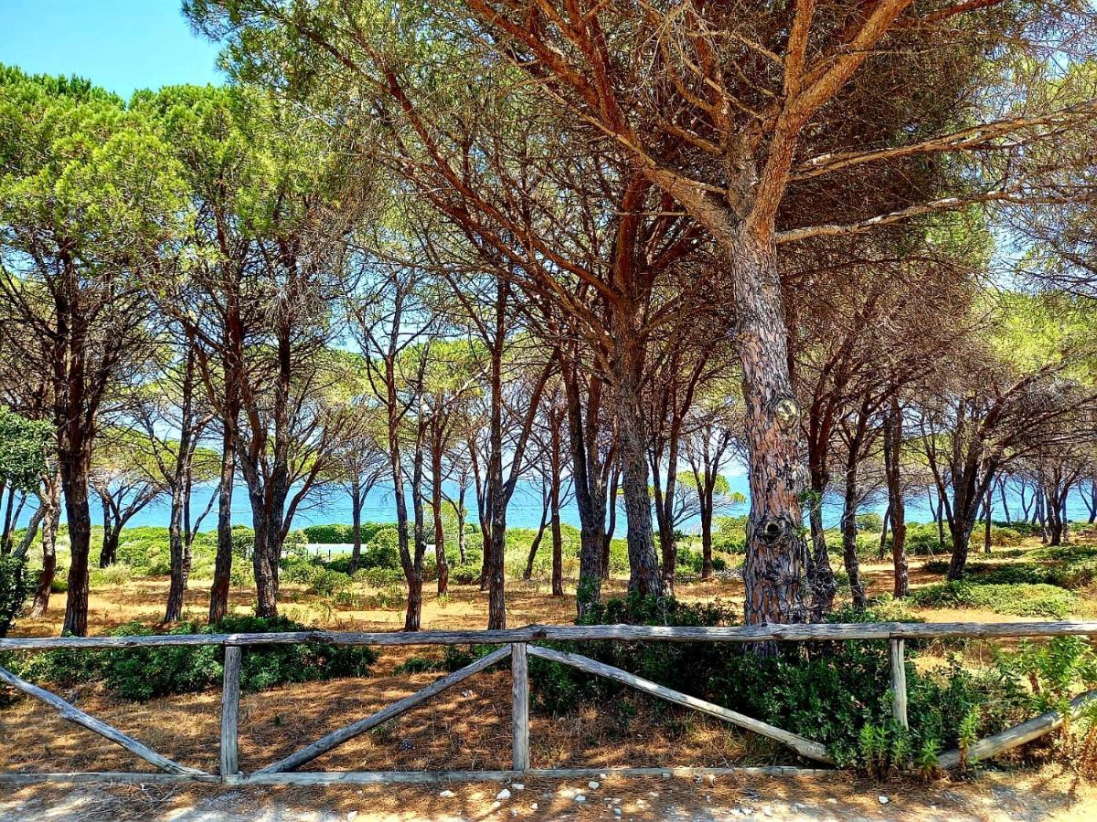 Villa vista pineta - 90 mt dalla spiaggia Budoni Esterno foto