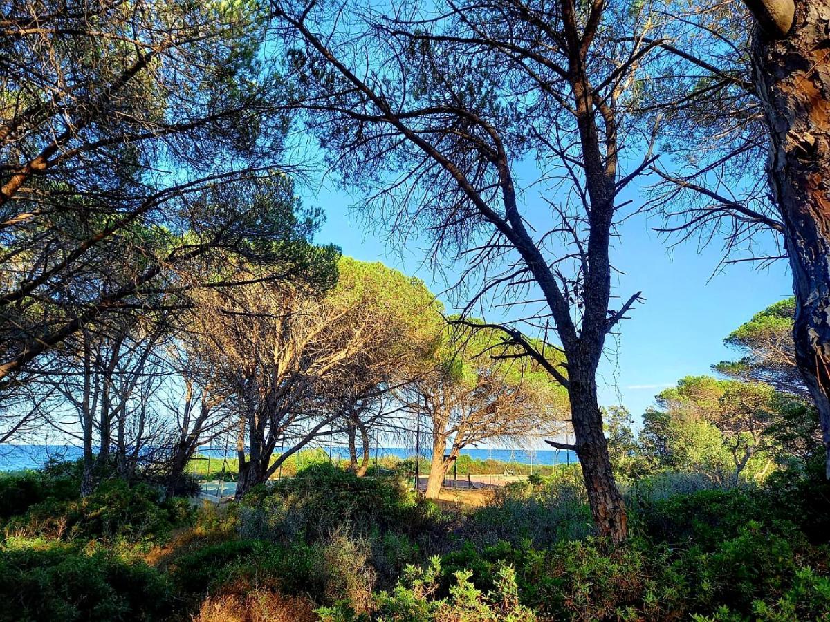Villa vista pineta - 90 mt dalla spiaggia Budoni Esterno foto