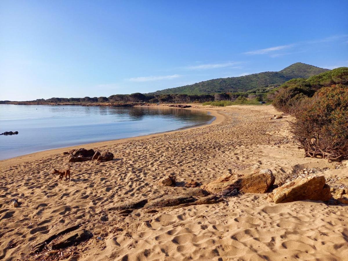 Villa vista pineta - 90 mt dalla spiaggia Budoni Esterno foto