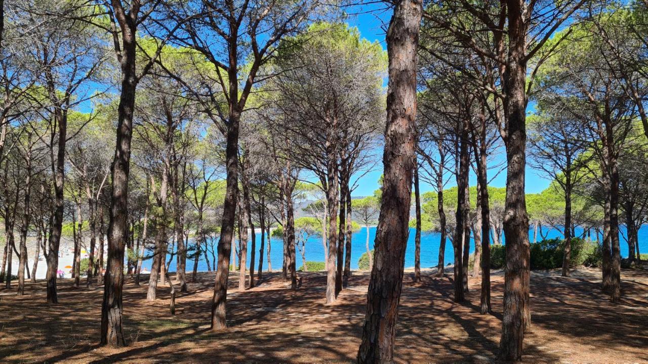 Villa vista pineta - 90 mt dalla spiaggia Budoni Esterno foto
