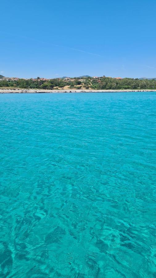 Villa vista pineta - 90 mt dalla spiaggia Budoni Esterno foto