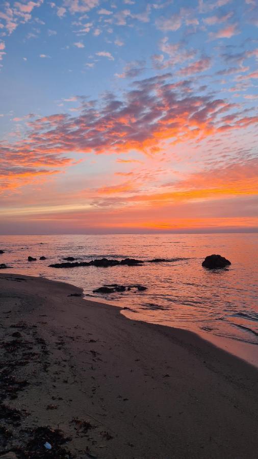 Villa vista pineta - 90 mt dalla spiaggia Budoni Esterno foto