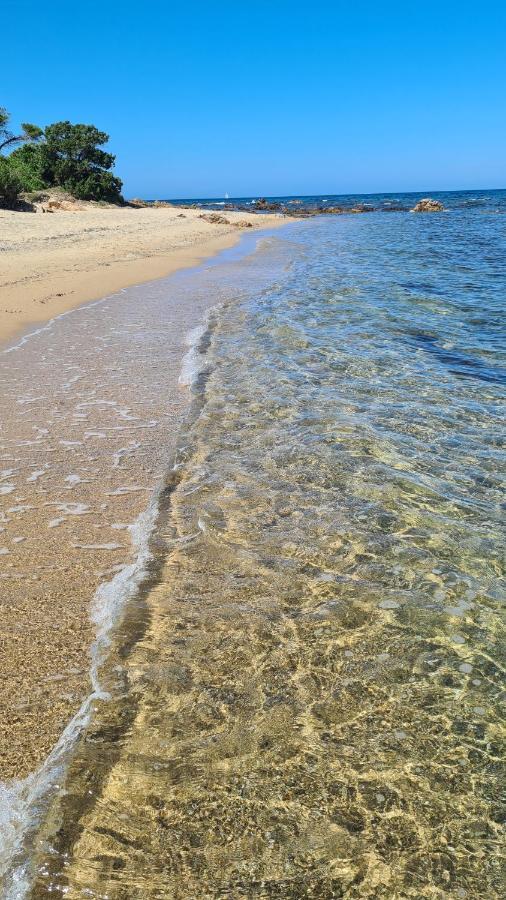 Villa vista pineta - 90 mt dalla spiaggia Budoni Esterno foto