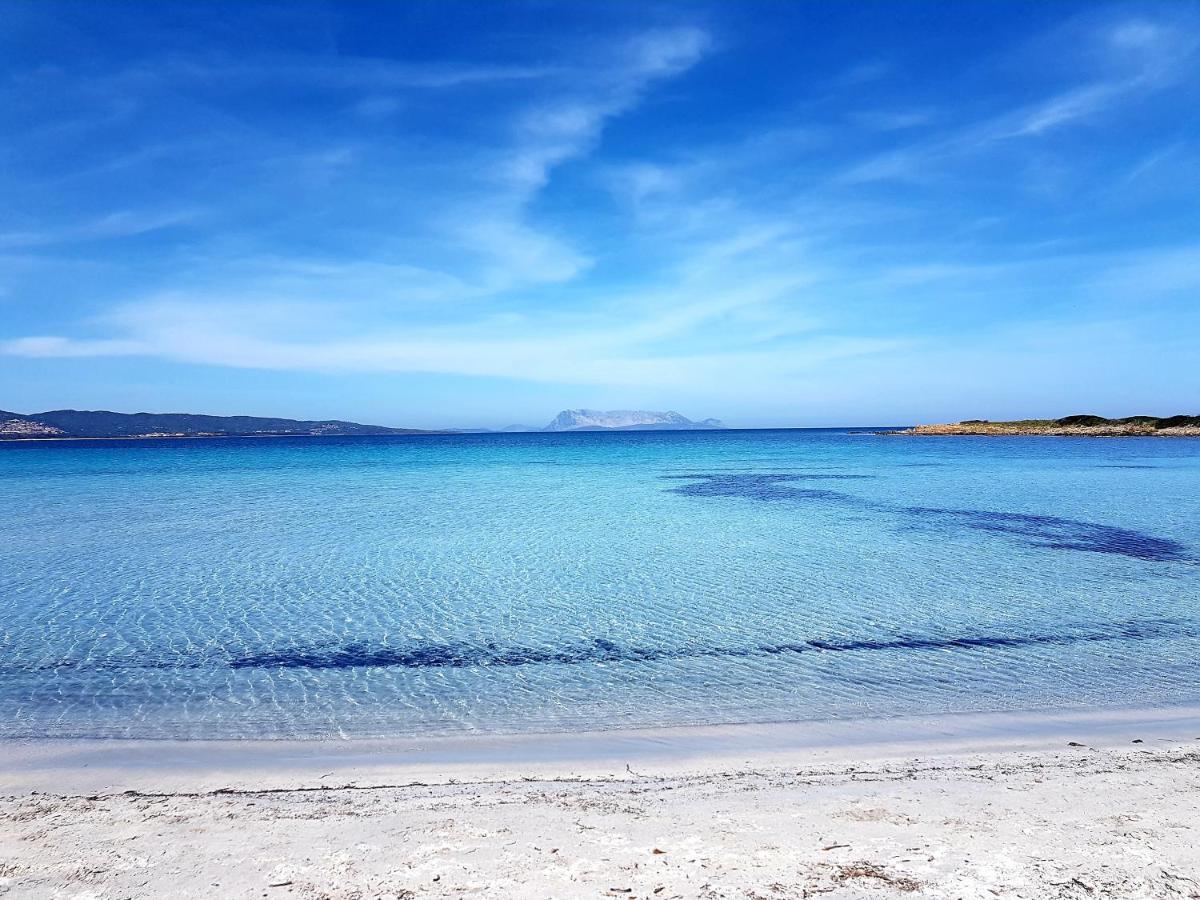 Villa vista pineta - 90 mt dalla spiaggia Budoni Esterno foto