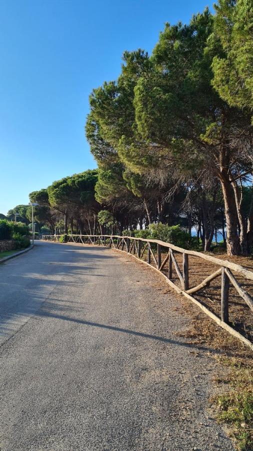Villa vista pineta - 90 mt dalla spiaggia Budoni Esterno foto