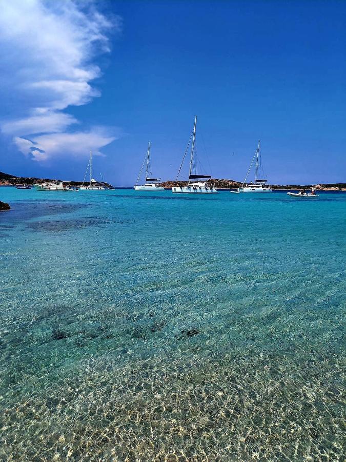 Villa vista pineta - 90 mt dalla spiaggia Budoni Esterno foto